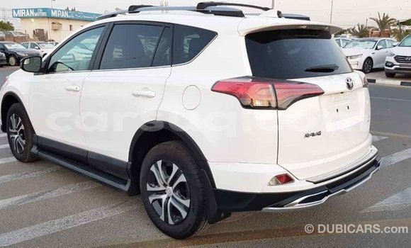 Acheter Import Voiture Toyota RAV4 Blanc à Import - Dubai, Barh el Gazel Acheter Import Voiture Toyota RAV4 Blanc à Import - Dubai, Barh el Gazel
