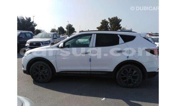 Acheter Import Voiture Hyundai Santa Fe Blanc à Import - Dubai, Barh el Gazel Acheter Import Voiture Hyundai Santa Fe Blanc à Import - Dubai, Barh el Gazel