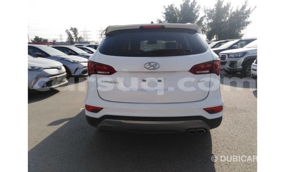 Acheter Import Voiture Hyundai Santa Fe Blanc à Import - Dubai, Barh el Gazel