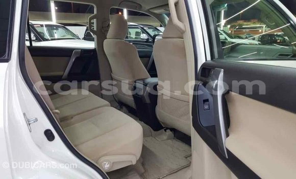 Acheter Import Voiture Toyota Prado Blanc à Import - Dubai, Barh el Gazel Acheter Import Voiture Toyota Prado Blanc à Import - Dubai, Barh el Gazel