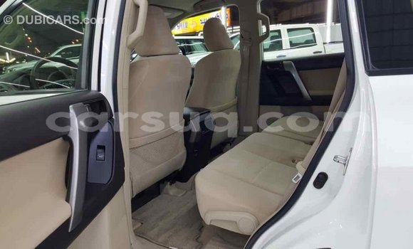 Acheter Import Voiture Toyota Prado Blanc à Import - Dubai, Barh el Gazel Acheter Import Voiture Toyota Prado Blanc à Import - Dubai, Barh el Gazel