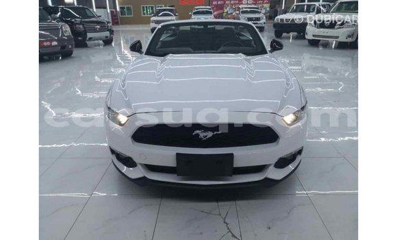 Acheter Import Voiture Ford Mustang Blanc à Import - Dubai, Barh el Gazel Acheter Import Voiture Ford Mustang Blanc à Import - Dubai, Barh el Gazel