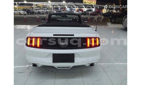 Acheter Import Voiture Ford Mustang Blanc à Import - Dubai, Barh el Gazel Acheter Import Voiture Ford Mustang Blanc à Import - Dubai, Barh el Gazel