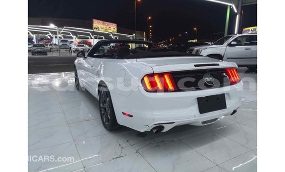 Acheter Import Voiture Ford Mustang Blanc à Import - Dubai, Barh el Gazel Acheter Import Voiture Ford Mustang Blanc à Import - Dubai, Barh el Gazel