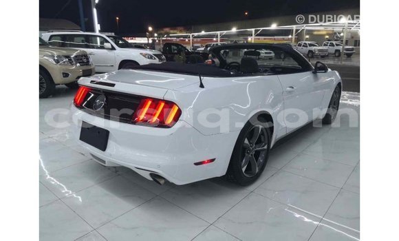Acheter Import Voiture Ford Mustang Blanc à Import - Dubai, Barh el Gazel Acheter Import Voiture Ford Mustang Blanc à Import - Dubai, Barh el Gazel