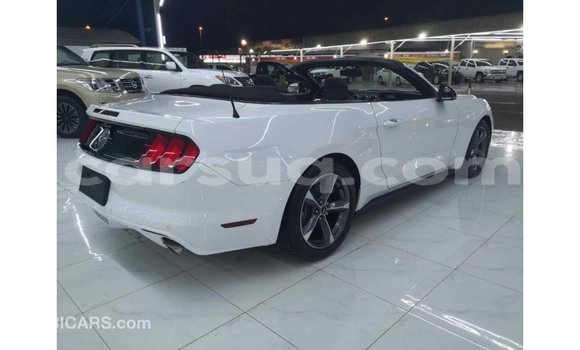 Acheter Import Voiture Ford Mustang Blanc à Import - Dubai, Barh el Gazel