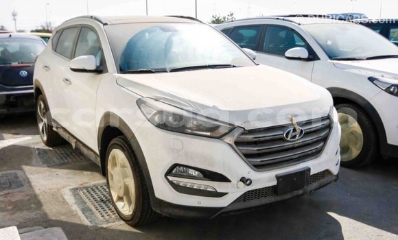 Acheter Import Voiture Hyundai Tucson Blanc à Import - Dubai, Barh el Gazel Acheter Import Voiture Hyundai Tucson Blanc à Import - Dubai, Barh el Gazel