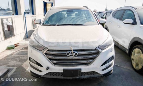 Acheter Import Voiture Hyundai Tucson Blanc à Import - Dubai, Barh el Gazel Acheter Import Voiture Hyundai Tucson Blanc à Import - Dubai, Barh el Gazel