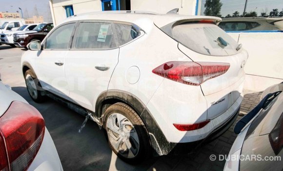 Acheter Import Voiture Hyundai Tucson Blanc à Import - Dubai, Barh el Gazel Acheter Import Voiture Hyundai Tucson Blanc à Import - Dubai, Barh el Gazel
