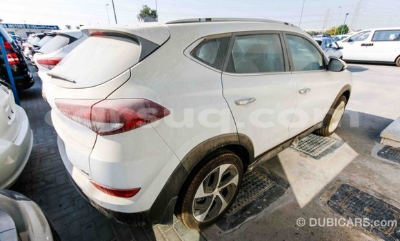 Acheter Import Voiture Hyundai Tucson Blanc à Import - Dubai, Barh el Gazel Acheter Import Voiture Hyundai Tucson Blanc à Import - Dubai, Barh el Gazel