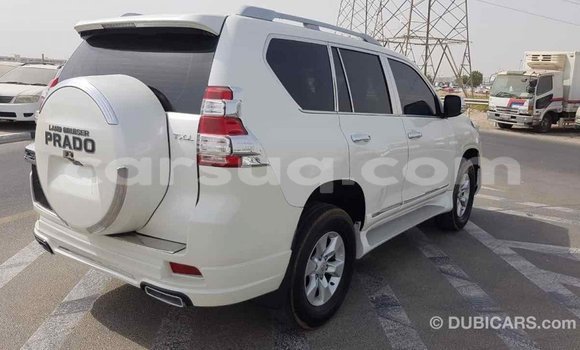 Acheter Import Voiture Toyota Prado Blanc à Import - Dubai, Barh el Gazel Acheter Import Voiture Toyota Prado Blanc à Import - Dubai, Barh el Gazel