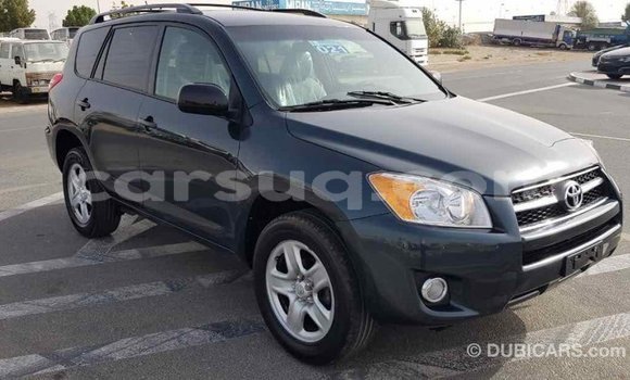 Buy Import Toyota RAV4 Green Car in Import - Dubai in Barh el Gazel Buy Import Toyota RAV4 Green Car in Import - Dubai in Barh el Gazel