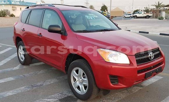 Buy Import Toyota RAV4 Red Car in Import - Dubai in Barh el Gazel Buy Import Toyota RAV4 Red Car in Import - Dubai in Barh el Gazel