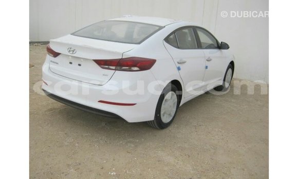 Acheter Import Voiture Hyundai Elantra Blanc à Import - Dubai, Barh el Gazel Acheter Import Voiture Hyundai Elantra Blanc à Import - Dubai, Barh el Gazel