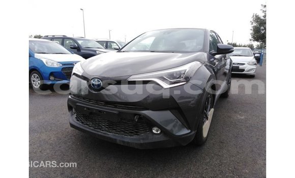 Acheter Import Voiture Toyota C-HR Autre à Import - Dubai, Barh el Gazel Acheter Import Voiture Toyota C-HR Autre à Import - Dubai, Barh el Gazel