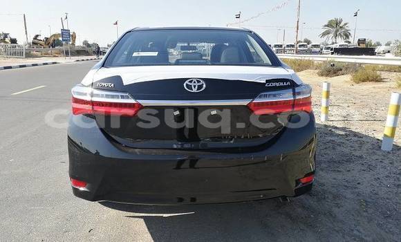 Acheter Neuf Voiture Toyota Corolla Noir à N'Djamena, Chari-Baguirmi Acheter Neuf Voiture Toyota Corolla Noir à N'Djamena, Chari-Baguirmi