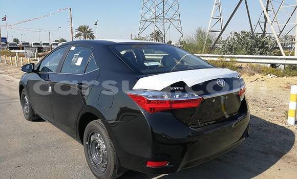 Acheter Neuf Voiture Toyota Corolla Noir à N'Djamena, Chari-Baguirmi Acheter Neuf Voiture Toyota Corolla Noir à N'Djamena, Chari-Baguirmi