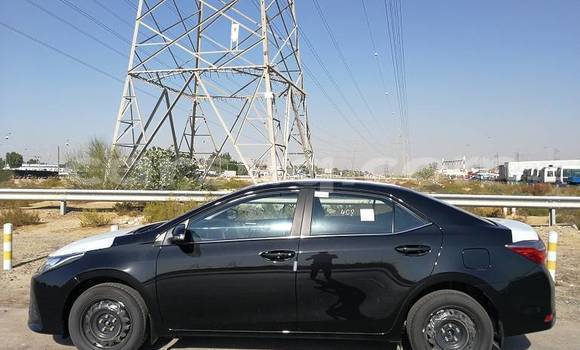 Acheter Neuf Voiture Toyota Corolla Noir à N'Djamena, Chari-Baguirmi Acheter Neuf Voiture Toyota Corolla Noir à N'Djamena, Chari-Baguirmi