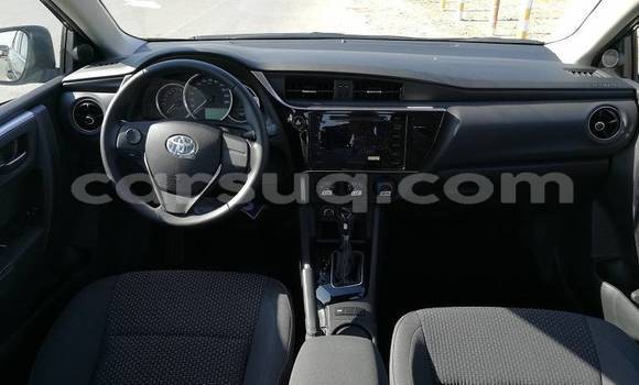 Acheter Neuf Voiture Toyota Corolla Noir à N'Djamena, Chari-Baguirmi Acheter Neuf Voiture Toyota Corolla Noir à N'Djamena, Chari-Baguirmi