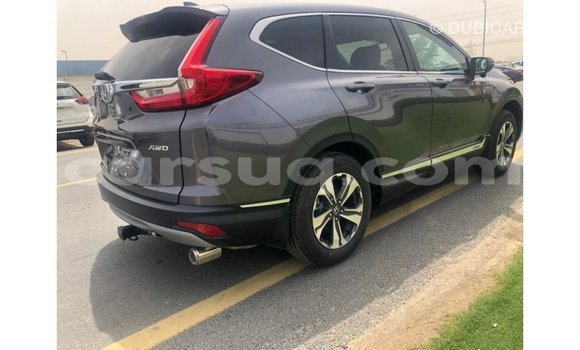 Acheter Import Moto Honda C Autre à Import - Dubai, Barh el Gazel Acheter Import Moto Honda C Autre à Import - Dubai, Barh el Gazel