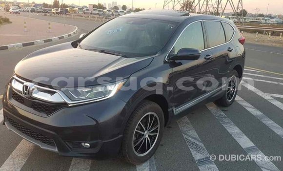 Buy Import Honda C Other Bike in Import - Dubai in Barh el Gazel Buy Import Honda C Other Bike in Import - Dubai in Barh el Gazel