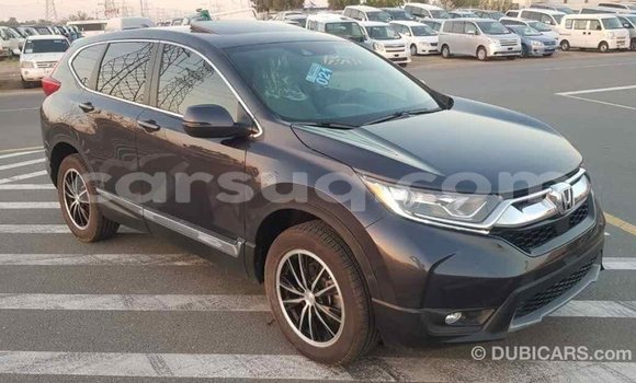 Buy Import Honda C Other Bike in Import - Dubai in Barh el Gazel Buy Import Honda C Other Bike in Import - Dubai in Barh el Gazel