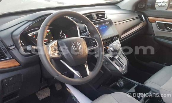 Buy Import Honda C Other Bike in Import - Dubai in Barh el Gazel Buy Import Honda C Other Bike in Import - Dubai in Barh el Gazel