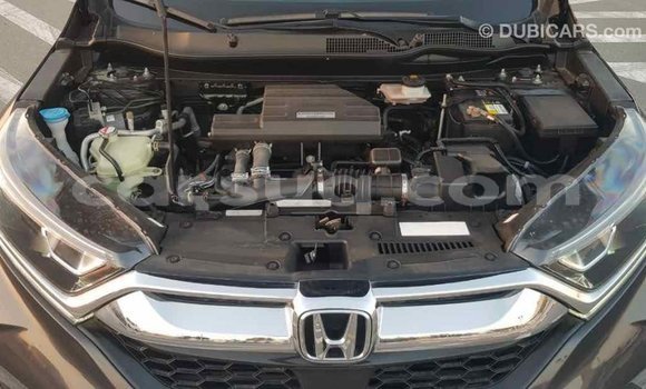 Acheter Import Moto Honda C Autre à Import - Dubai, Barh el Gazel