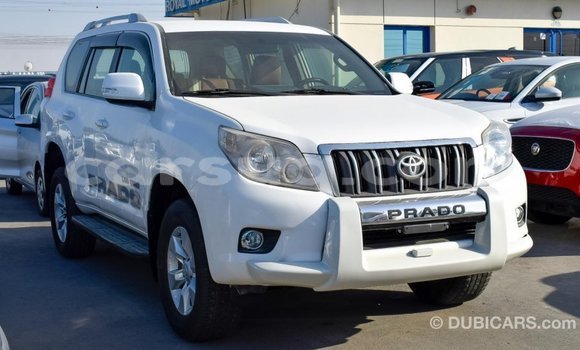 Acheter Import Voiture Toyota Prado Blanc à Import - Dubai, Barh el Gazel Acheter Import Voiture Toyota Prado Blanc à Import - Dubai, Barh el Gazel