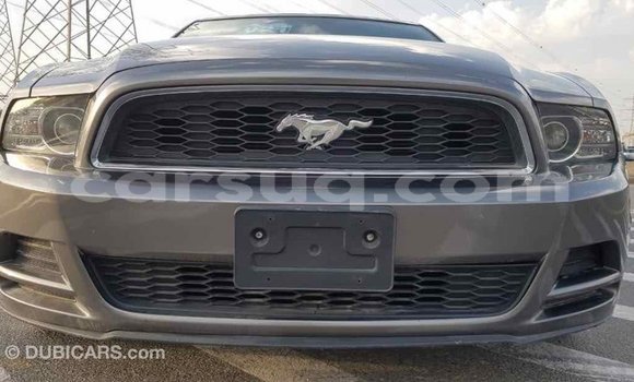 Acheter Import Voiture Ford Mustang Autre à Import - Dubai, Barh el Gazel Acheter Import Voiture Ford Mustang Autre à Import - Dubai, Barh el Gazel