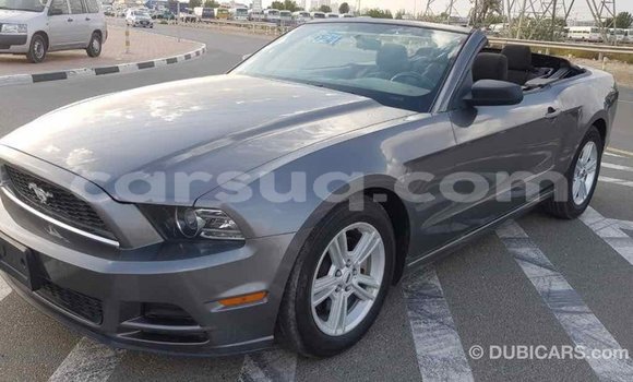 Acheter Import Voiture Ford Mustang Autre à Import - Dubai, Barh el Gazel Acheter Import Voiture Ford Mustang Autre à Import - Dubai, Barh el Gazel