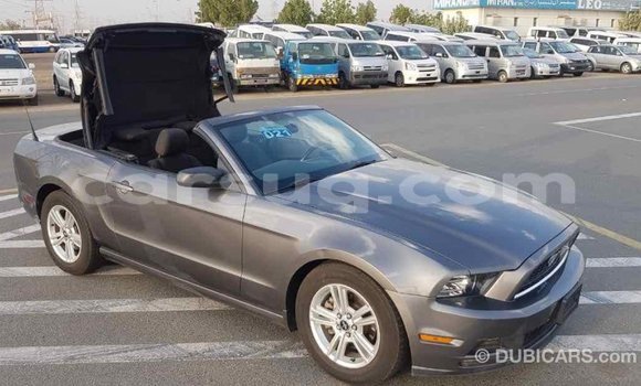 Acheter Import Voiture Ford Mustang Autre à Import - Dubai, Barh el Gazel Acheter Import Voiture Ford Mustang Autre à Import - Dubai, Barh el Gazel