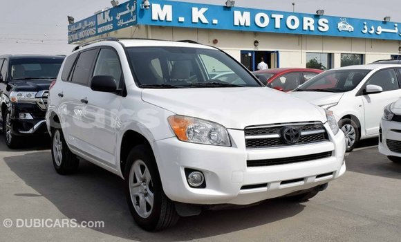 Acheter Import Voiture Toyota 4Runner Blanc à Import - Dubai, Barh el Gazel Acheter Import Voiture Toyota 4Runner Blanc à Import - Dubai, Barh el Gazel