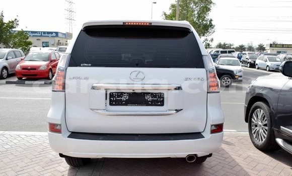 Acheter Import Voiture Lexus GX Blanc à Import - Dubai, Barh el Gazel Acheter Import Voiture Lexus GX Blanc à Import - Dubai, Barh el Gazel
