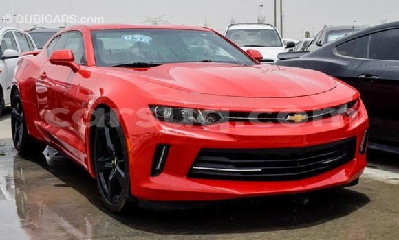 Acheter Import Voiture Chevrolet Camaro Rouge à Import - Dubai, Barh el Gazel Acheter Import Voiture Chevrolet Camaro Rouge à Import - Dubai, Barh el Gazel