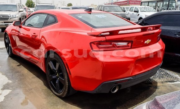 Acheter Import Voiture Chevrolet Camaro Rouge à Import - Dubai, Barh el Gazel Acheter Import Voiture Chevrolet Camaro Rouge à Import - Dubai, Barh el Gazel