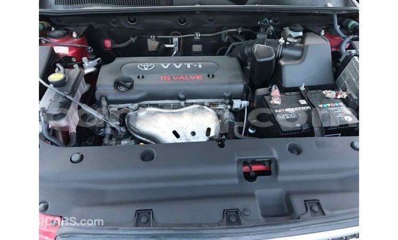 Buy Import Toyota 4Runner Red Car in Import - Dubai in Barh el Gazel Buy Import Toyota 4Runner Red Car in Import - Dubai in Barh el Gazel