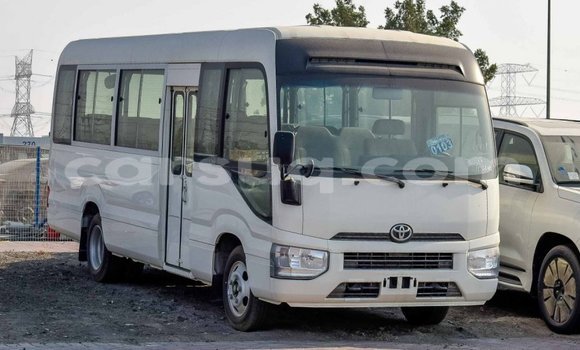 Acheter Import Voiture Toyota Coaster Blanc à Import - Dubai, Barh el Gazel Acheter Import Voiture Toyota Coaster Blanc à Import - Dubai, Barh el Gazel