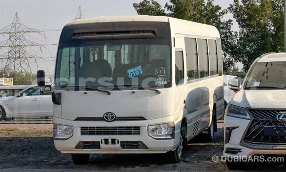Acheter Import Voiture Toyota Coaster Blanc à Import - Dubai, Barh el Gazel Acheter Import Voiture Toyota Coaster Blanc à Import - Dubai, Barh el Gazel