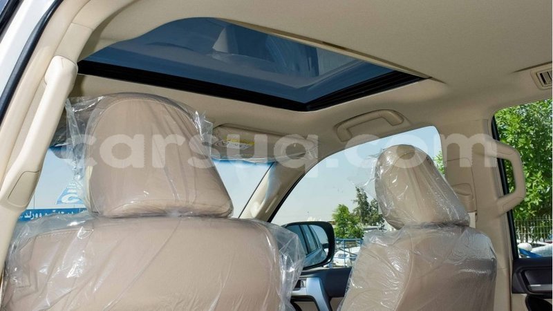 Big with watermark 12