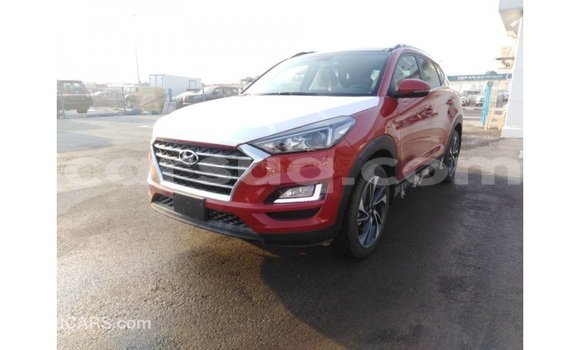 Acheter Import Voiture Hyundai Tucson Rouge à Import - Dubai, Barh el Gazel Acheter Import Voiture Hyundai Tucson Rouge à Import - Dubai, Barh el Gazel