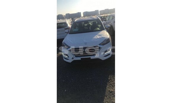 Acheter Import Voiture Hyundai Tucson Blanc à Import - Dubai, Barh el Gazel Acheter Import Voiture Hyundai Tucson Blanc à Import - Dubai, Barh el Gazel