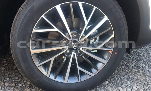 Acheter Import Voiture Hyundai Tucson Blanc à Import - Dubai, Barh el Gazel Acheter Import Voiture Hyundai Tucson Blanc à Import - Dubai, Barh el Gazel