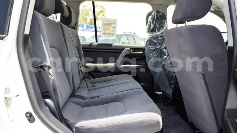 Big with watermark 8