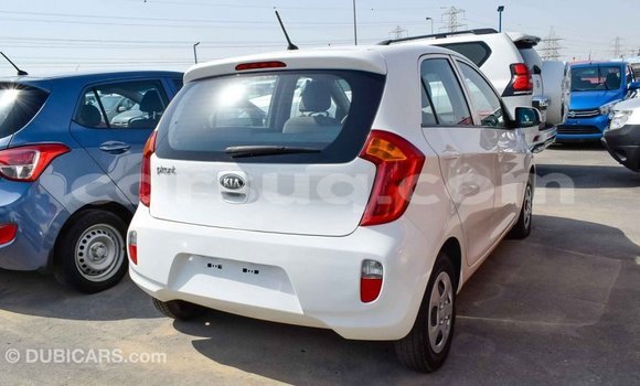Acheter Import Voiture Kia Picanto Blanc à Import - Dubai, Barh el Gazel Acheter Import Voiture Kia Picanto Blanc à Import - Dubai, Barh el Gazel
