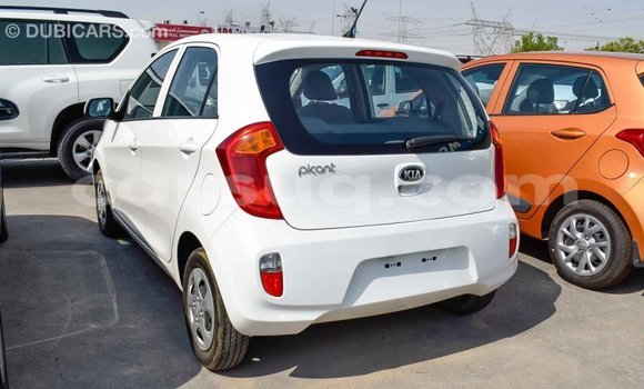 Acheter Import Voiture Kia Picanto Blanc à Import - Dubai, Barh el Gazel Acheter Import Voiture Kia Picanto Blanc à Import - Dubai, Barh el Gazel