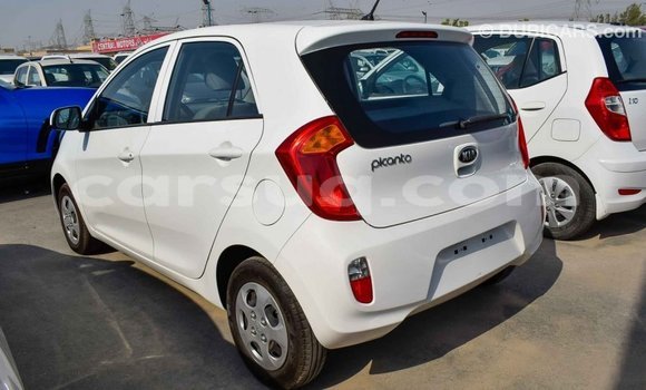 Acheter Import Voiture Kia Picanto Blanc à Import - Dubai, Barh el Gazel Acheter Import Voiture Kia Picanto Blanc à Import - Dubai, Barh el Gazel