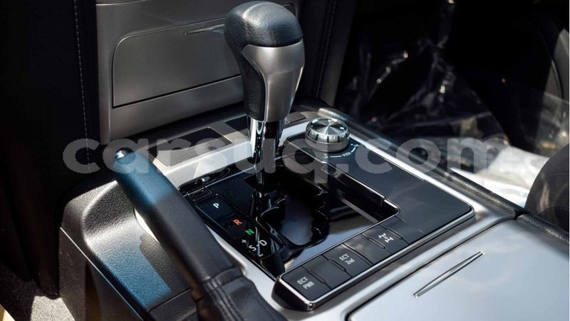 Big with watermark 12