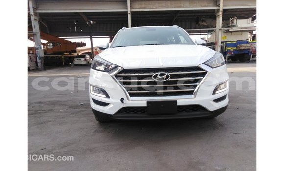 Acheter Import Voiture Hyundai Tucson Blanc à Import - Dubai, Barh el Gazel Acheter Import Voiture Hyundai Tucson Blanc à Import - Dubai, Barh el Gazel