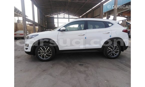 Acheter Import Voiture Hyundai Tucson Blanc à Import - Dubai, Barh el Gazel Acheter Import Voiture Hyundai Tucson Blanc à Import - Dubai, Barh el Gazel